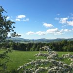 Croftjane view in Summer