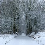 Croftjane in Winter 2