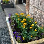 Croftjane Cottage Front Door