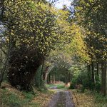Croftjane self catering driveway