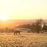 Croftjane self catering field